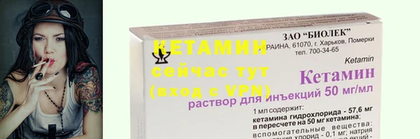 дмт Дмитриев